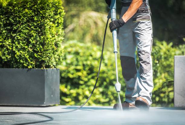 Best Sidewalk and Walkway Cleaning  in Daisetta, TX